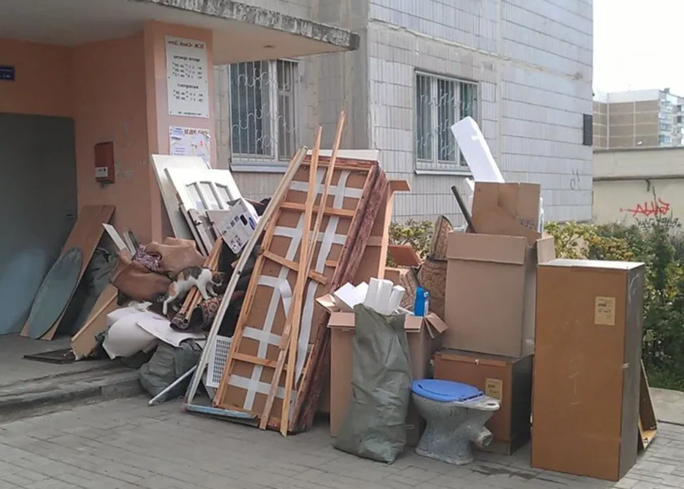 Профессиональный вывоз мусора из квартиры в Екатеринбурге в октябре