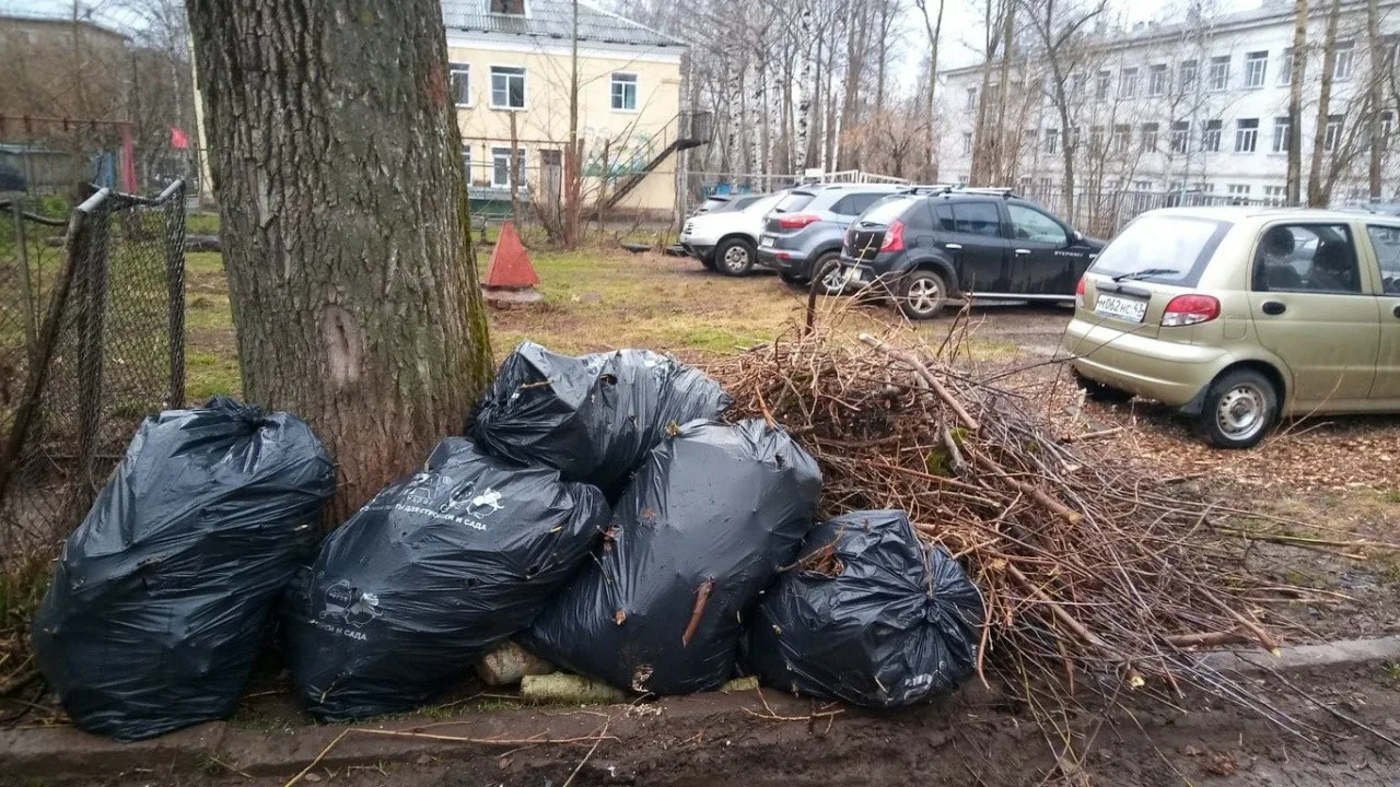 Вывоз мусора после субботника в Екатеринбурге от ПроМусор – уборка и утилизация отходов от 2409 руб