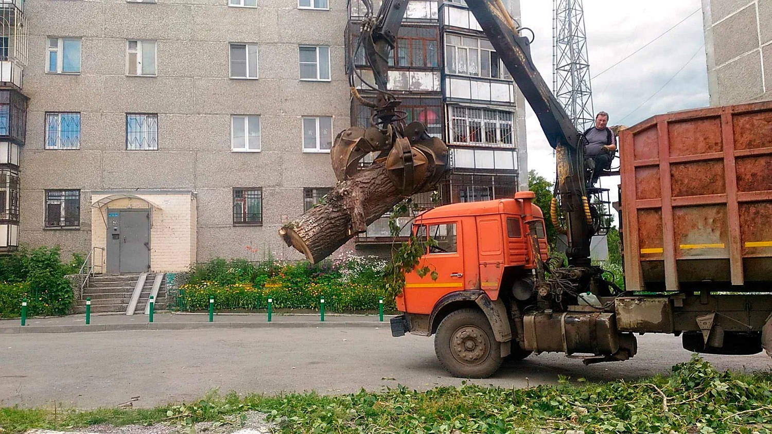 Вывоз спиленных веток и деревьев в Екатеринбурге от ПроМусор: порубочные остатки, утилизация, цена от 2972 руб