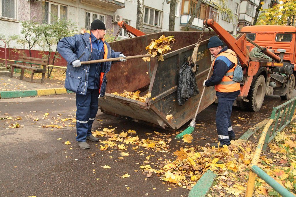 Вывоз опавшей листвы и растительного мусора в Екатеринбурге от ПроМусор – цена от 4612 руб., быстрая уборка и утилизация